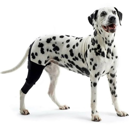 Kruuse Rehab Dog Knee Protector Knee Brace